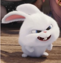 1739164408_382f6bf0e7868d97bb5c.png