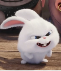 1739265602_a233486ae78ba28ed7b1.png