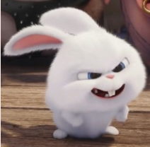 1739403587_9ed76feaa26e305b2cf9.png