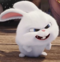 1740327382_ba5d1f27c57a946626b5.png