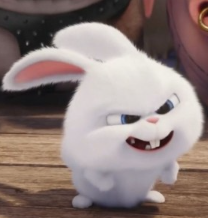 1740440258_bbe5d18ef9d5a620deb2.png