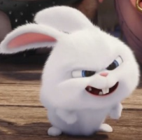 1740504903_0c5c2bfac96cfaaf8651.png