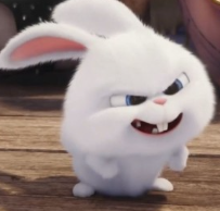 1740590012_cb573ced9aa5f6871e4b.png