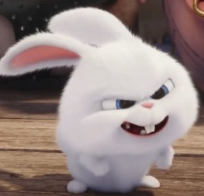 1740877717_4c4224dbe893d48f99ee.png