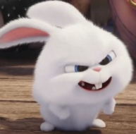 1741932505_a3c03dd7ec79c3170a52.png