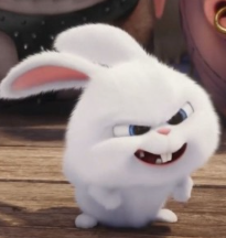 1743447929_caa12709536c763fc4a9.png