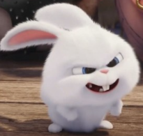 1744062353_35490bdae7bfe104c744.png