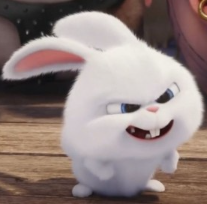 1745272646_df11a1ad3891e54f8028.png
