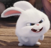 1745358558_c9368639c107a4d56e22.png