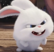 1746567307_1a8839e6ca90d0b75db3.png 1746567307_1a8839e6ca90d0b75db3.png