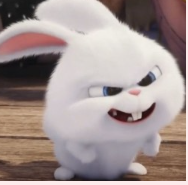 1746646794_9b9f564b1d206b7b61cb.png 1746646794_9b9f564b1d206b7b61cb.png