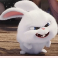 1758185647_18b77579e2348e2f2852.png 1758185647_18b77579e2348e2f2852.png