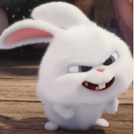 1764706625_fb18bed5689c075c28a9.png 1764706625_fb18bed5689c075c28a9.png