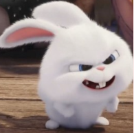 1765256318_6b54c67775362aeb4ae1.png