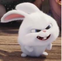 1772753037_22aae527f885eedf6ac4.png