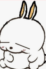 1772838609_91a4e5af1009202a75e0.png