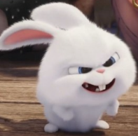 1773270435_724d7a01ebbaecb010c0.png