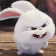 1774334247_7f3c45b895f5e0afa6dc.png