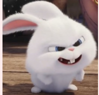 1774418541_fc55c9698d54fb7a987e.png