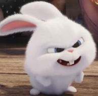 1774994147_cf518547043bc36ef030.png