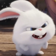 1775858797_93b1f863c31e83ec1051.png