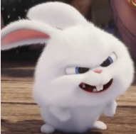 1778342632_95f3e2ee65b17ca781d9.png