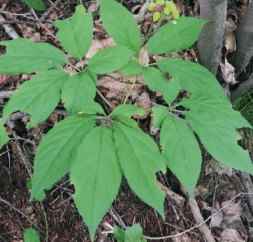 프로필이미지