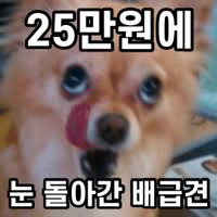 프로필이미지