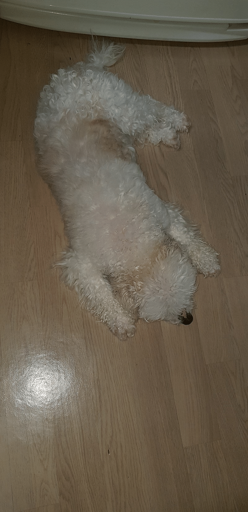 프로필이미지
