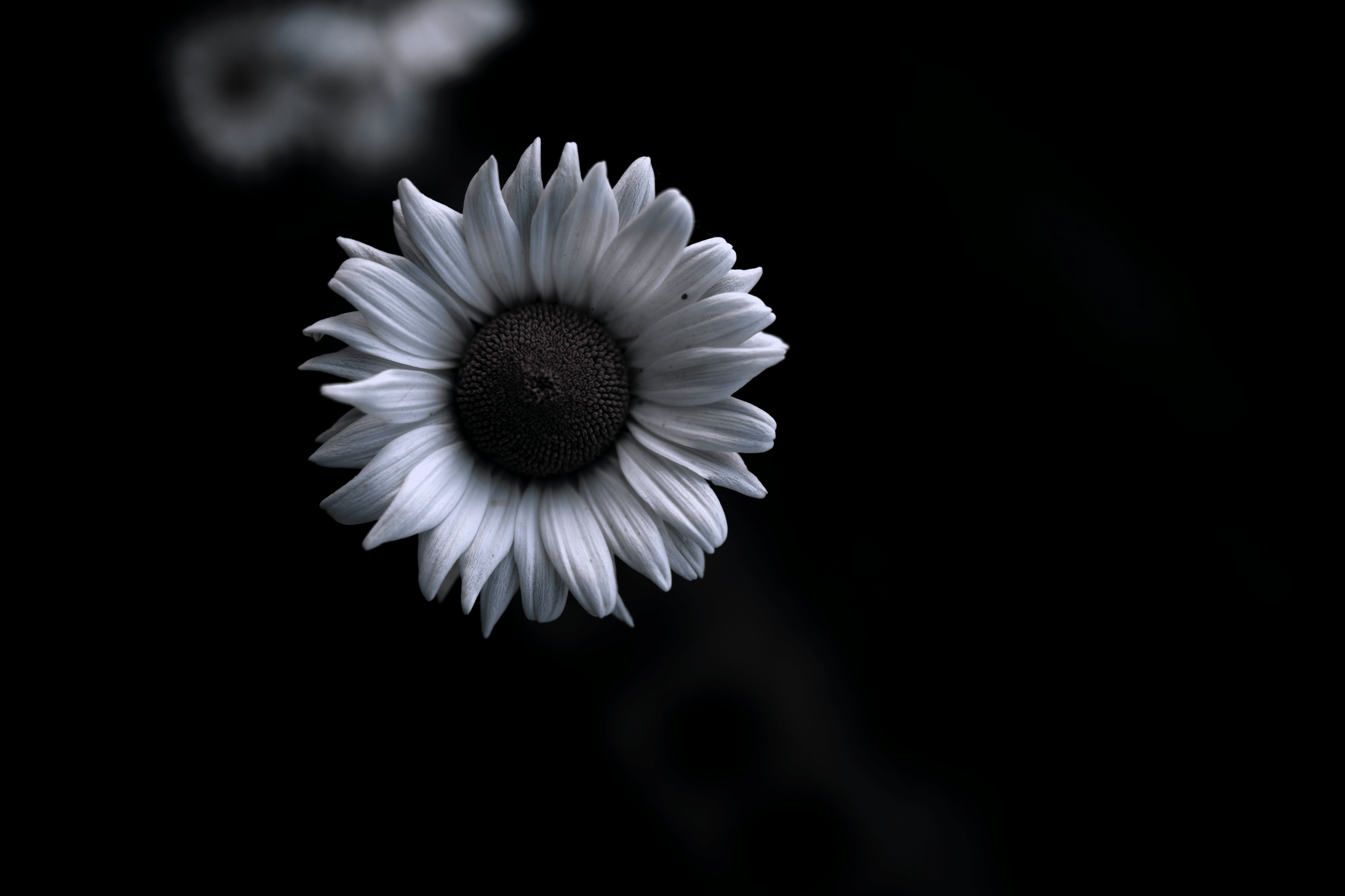 프로필이미지